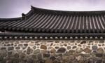 vegetative roof 300x192.jpg